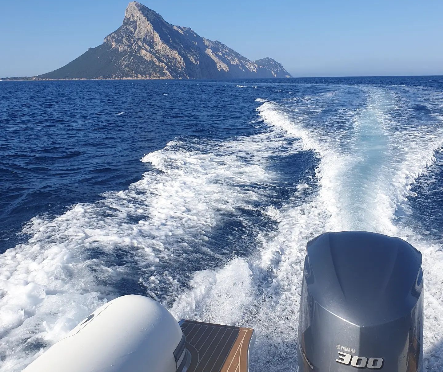 Escursione ai relitti sommersi davanti alle coste di Tavolara